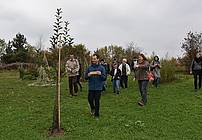 Posvojitev drevesa v mestnem sadovnjaku